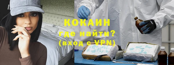 эйфоретик Арсеньев