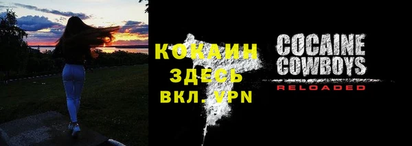 эйфоретик Арсеньев