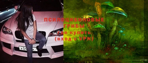 эйфоретик Арсеньев