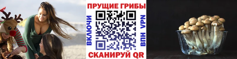 Галлюциногенные грибы GOLDEN TEACHER где продают Лахденпохья